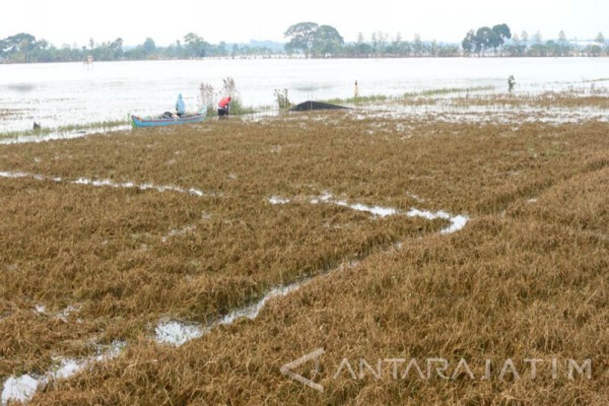 478 Petani di Bojonegoro Peroleh Ganti Rugi