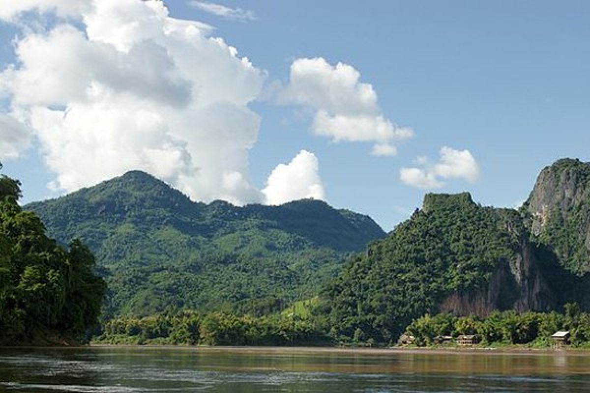 Peneliti temukan 163 spesies baru di kawasan Mekong