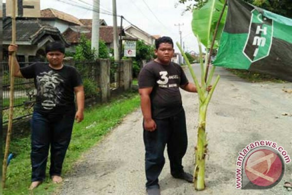 Mahasiswa tanam pohon pisang di Jalintim 