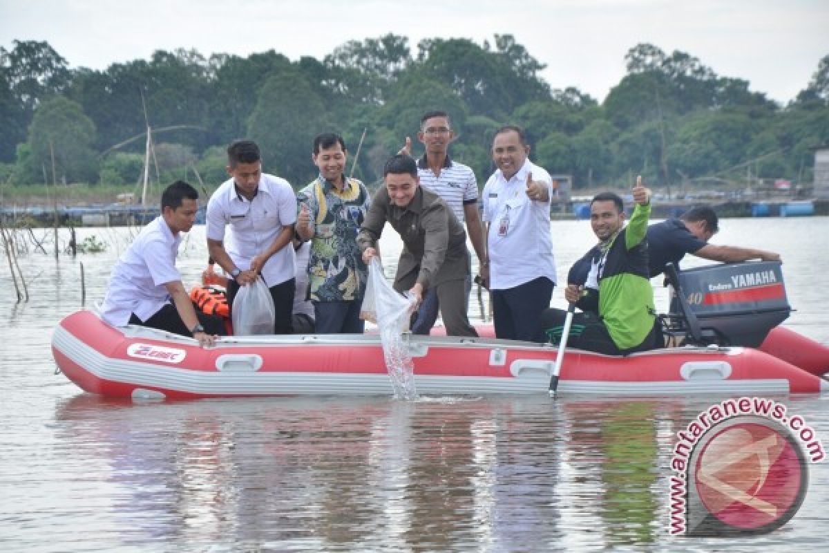 3.000 ikan hias Botia dilepas liarkan