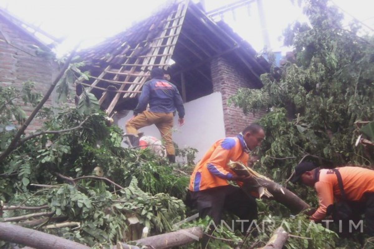 Tujuh Rumah di Situbondo Rusak akibat Longsor dan Pohon Tumbang