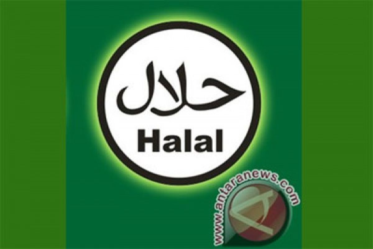 Perwakilan lima benua ikuti pelatihan halal internasional