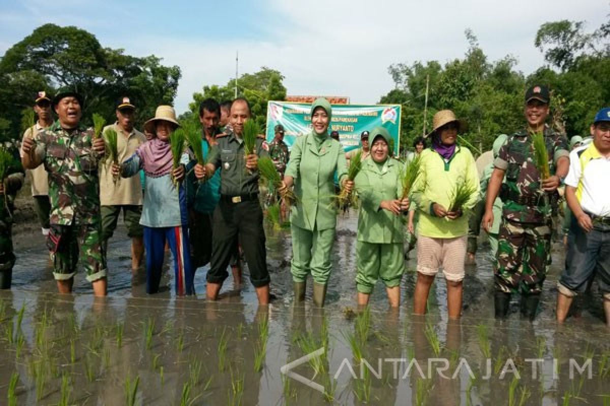 Kodim Pamekasan Bantu Petani Tanami Padi pada Lahan Tidur