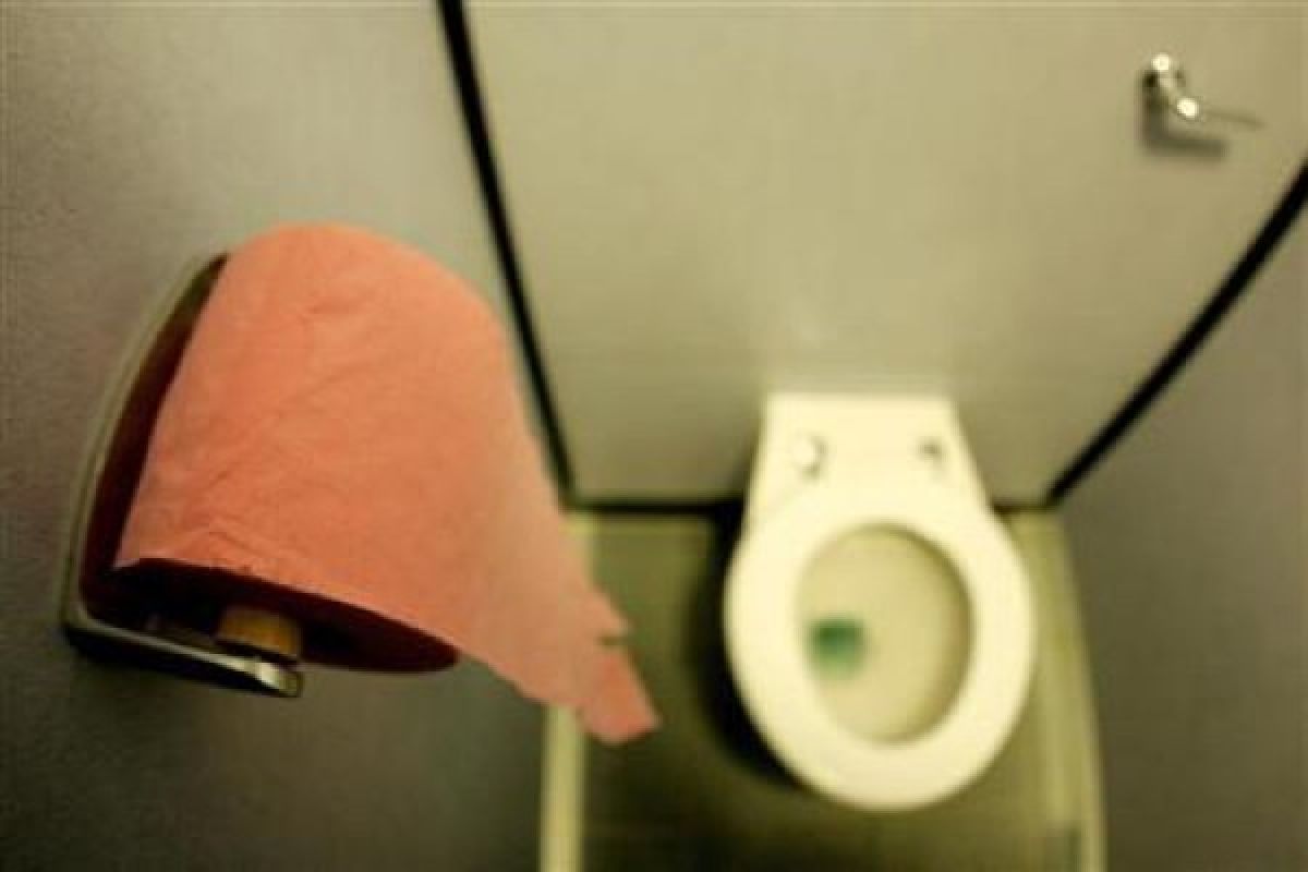 Di balik cara kerja toilet di pesawat