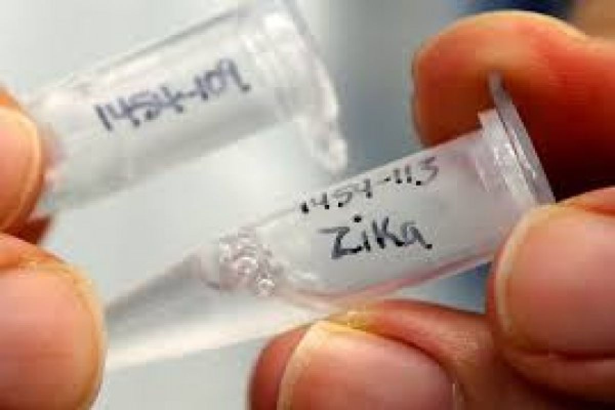 Zika vaccine shows promise in early human trial
