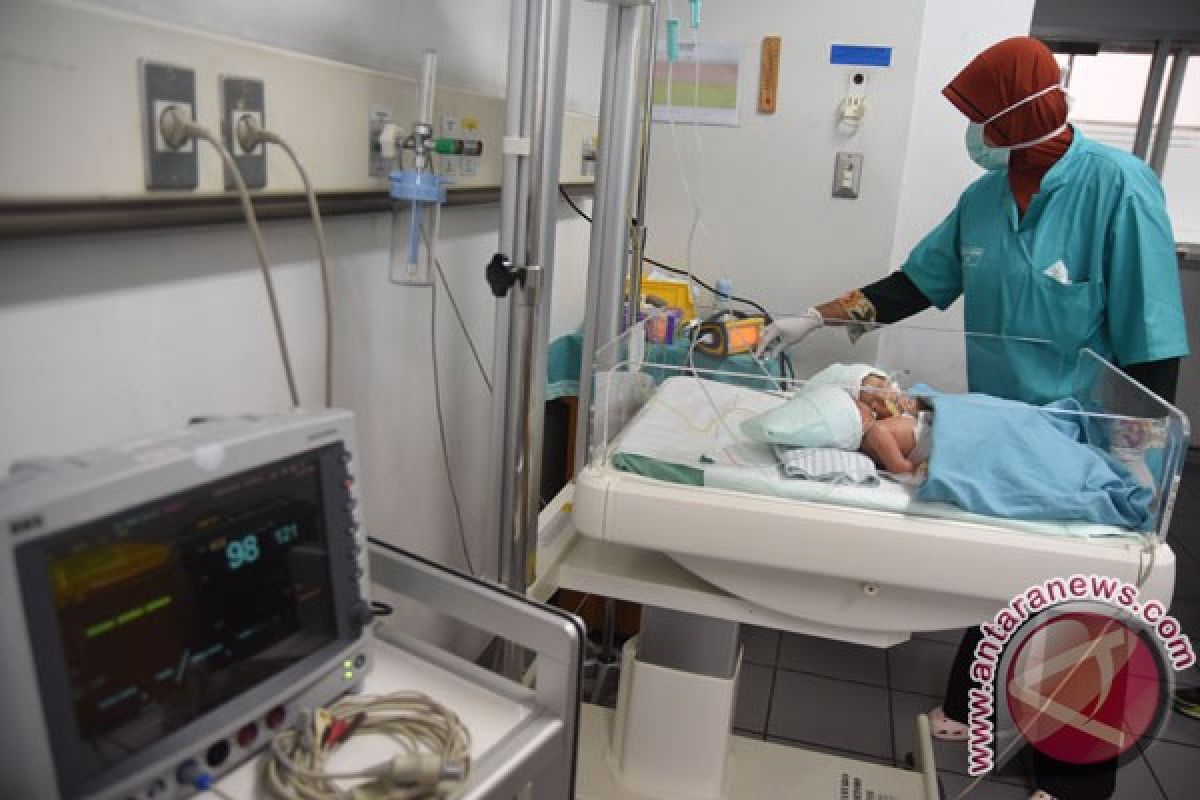 Bayi kembar siam Probolinggo operasi pemisahan darurat