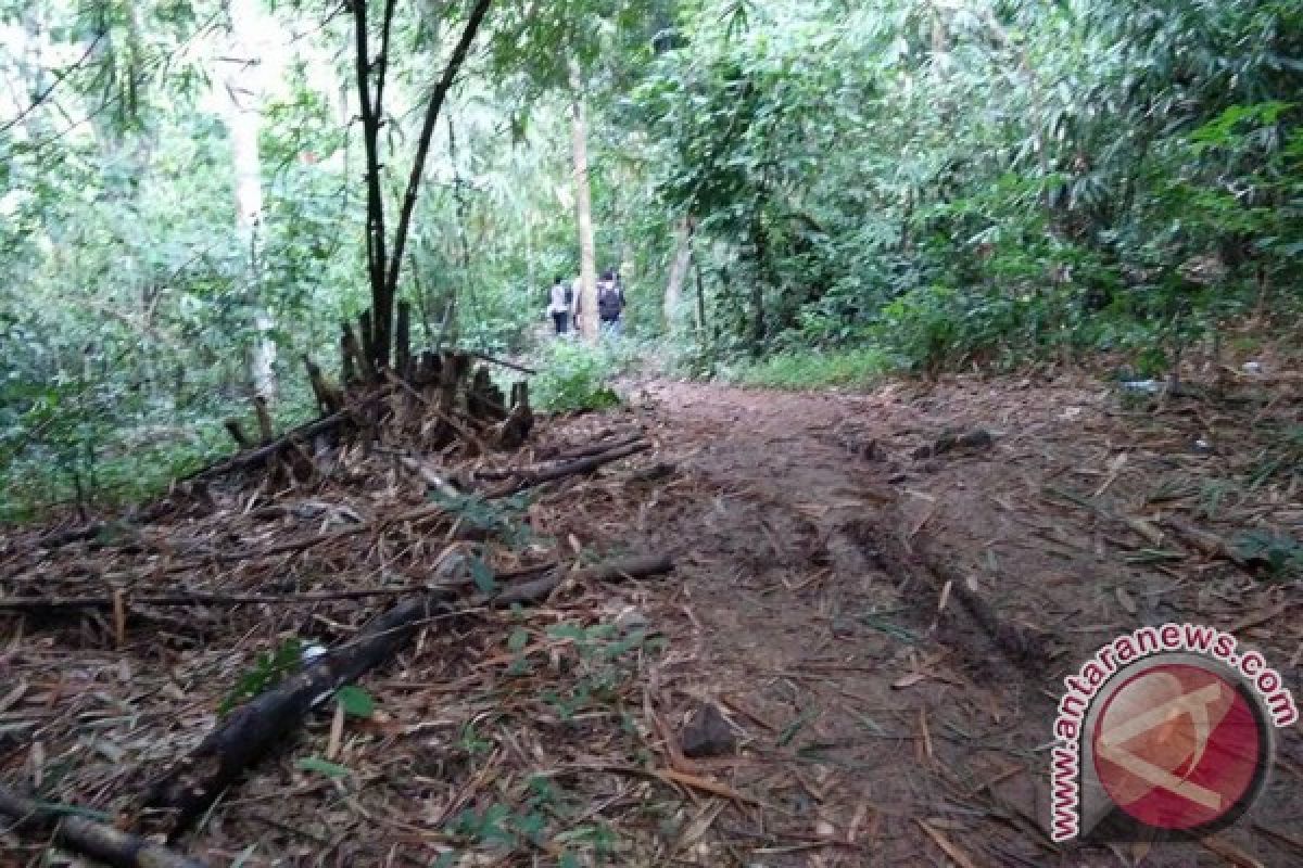 Tiwingan Villagers in Riam Kanan No Longer Farming Rice