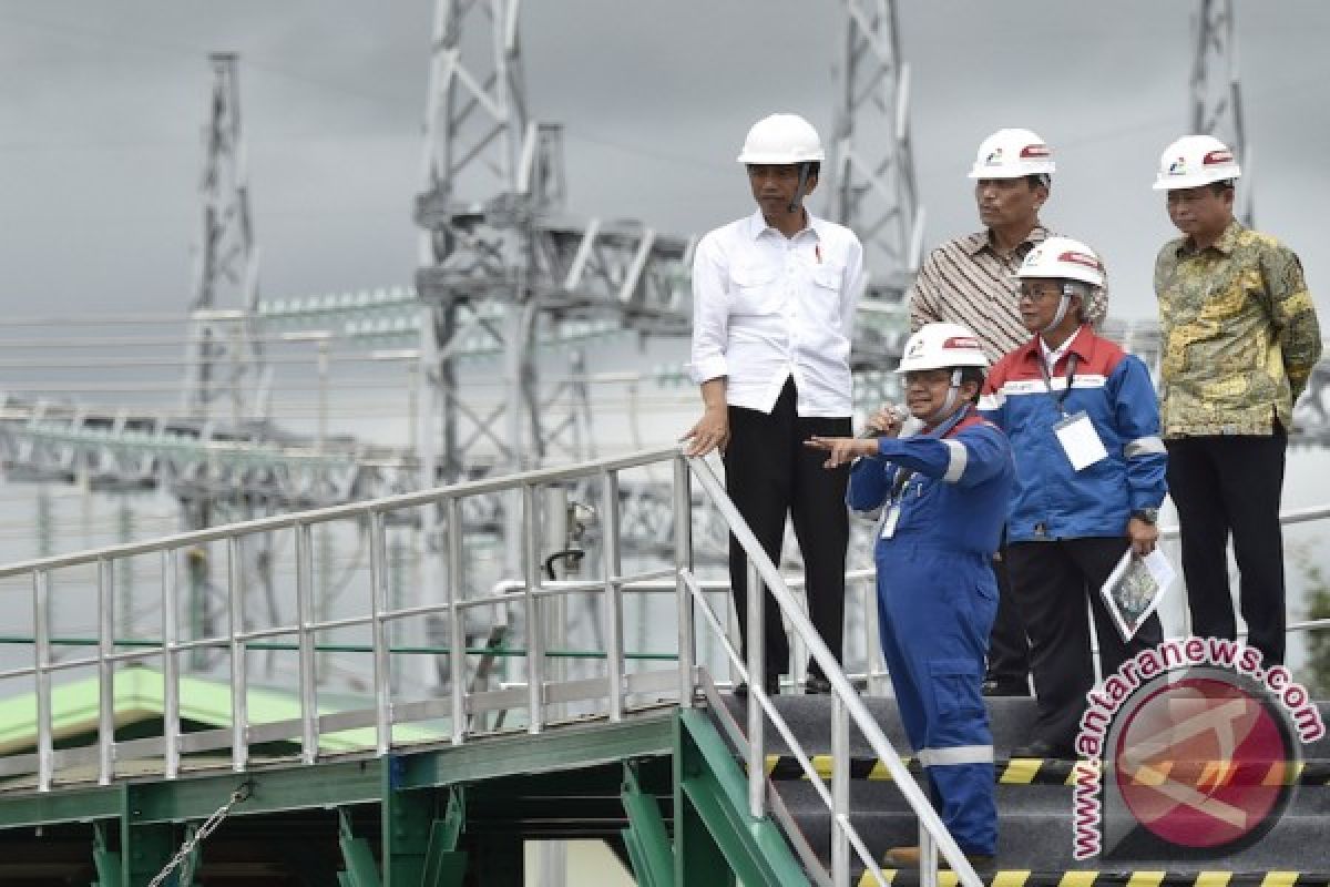 Indonesia has abundant geothermal potential: President Jokowi