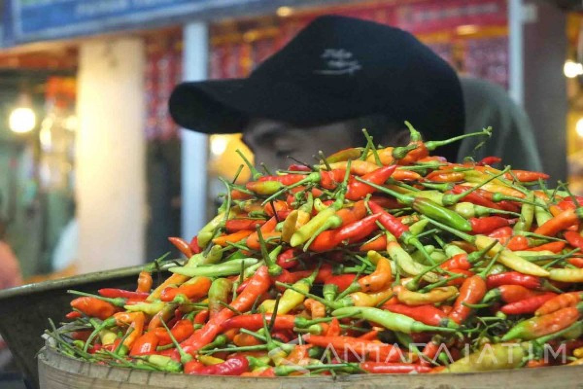 Harga Cabai Rawit di Jember Turun Jadi Rp90.000