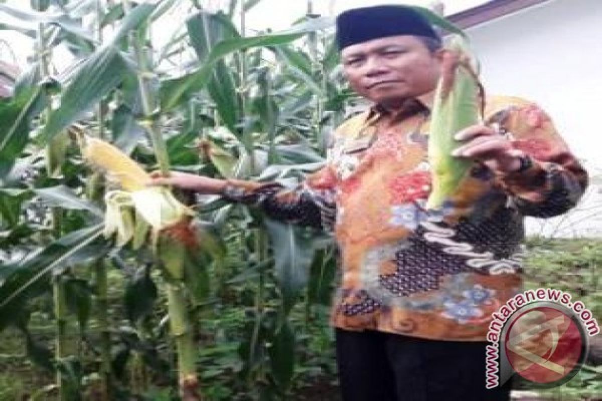 Bupati Ajak Petani Manfaatkan Lahan Pekarangan