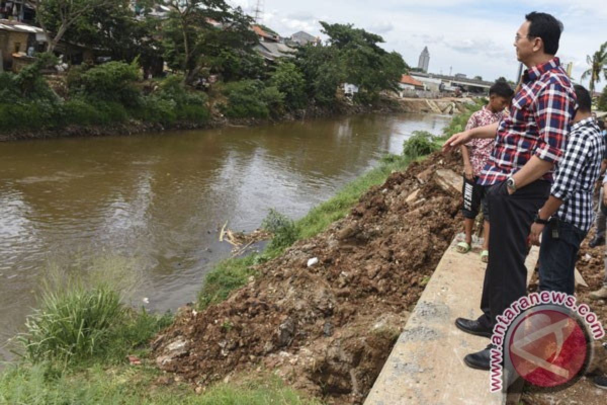 Ahok: Sungai Ciliwung berbatu cadas jaga ekosistem