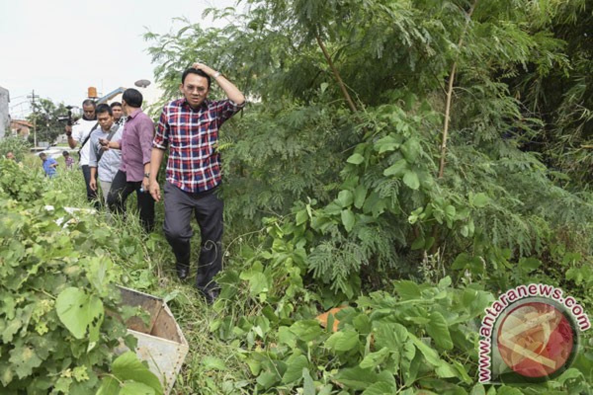 Ahok dihadang warga Lenteng Agung