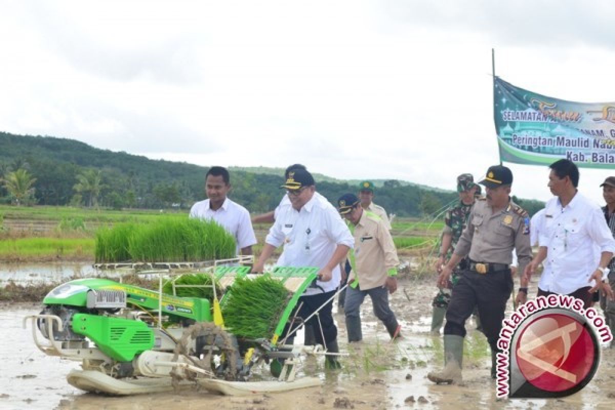 Dinas Pertanian Menggelar Tanam Lebih Awal 