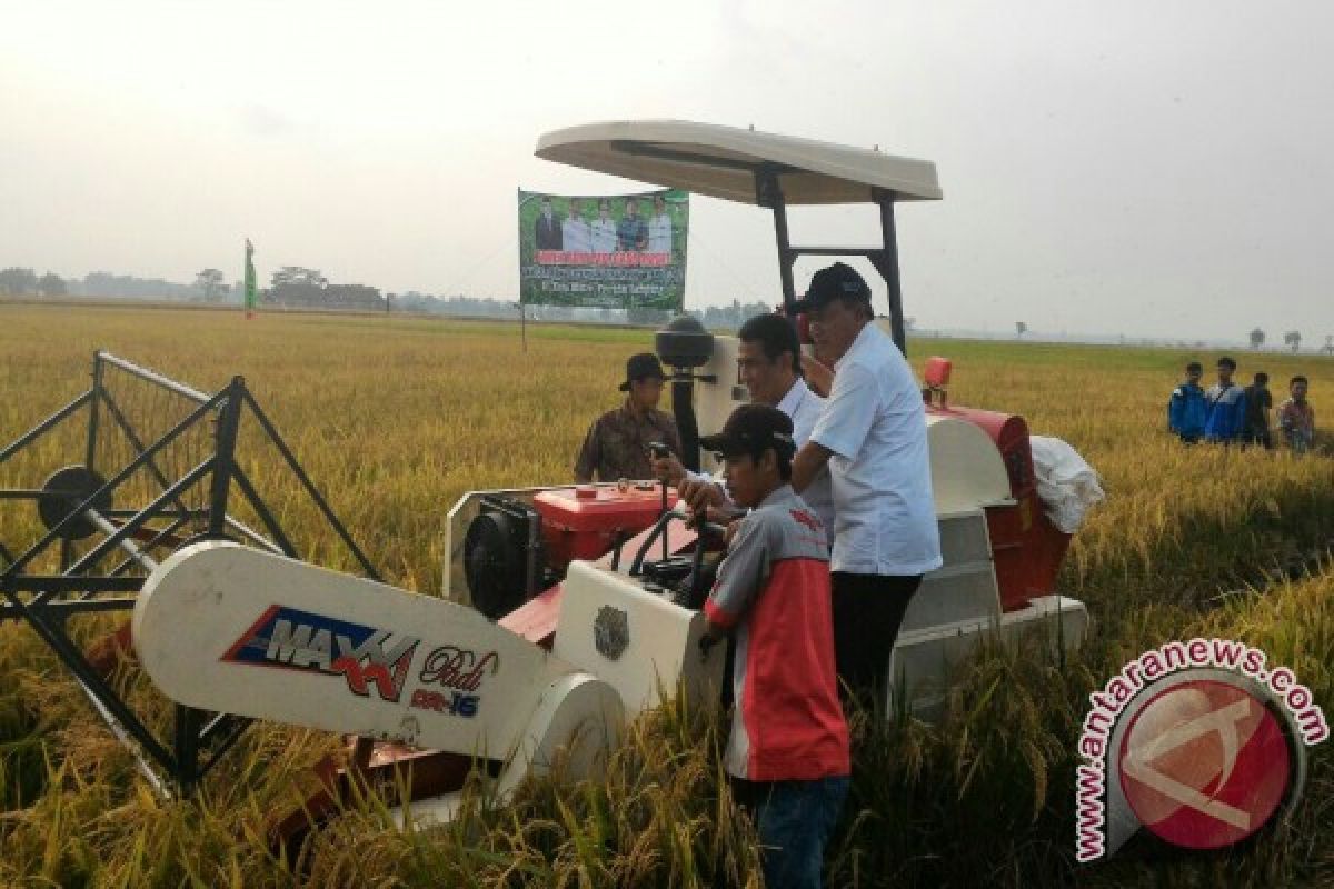 Mentan panen padi di Lampung