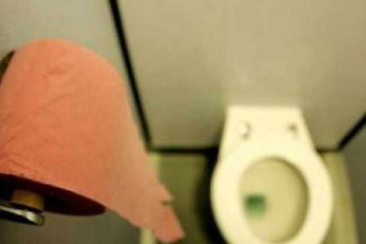 Toilet Di Bandara Jepang Sediakan Tisu Untuk Ponsel