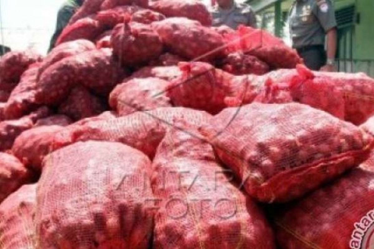 Bawang Ilegal Yang Berserakan Di Jalan Jadi Rebutan Warga Bengkalis