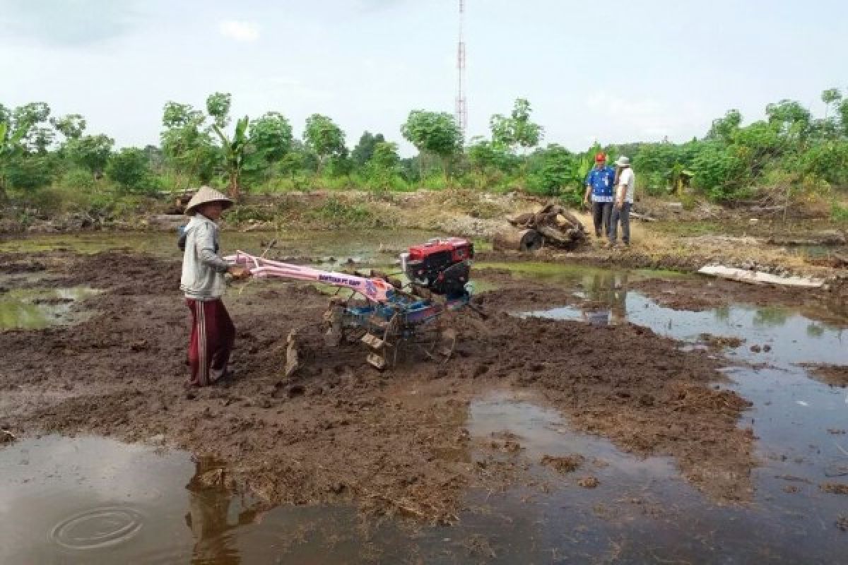 Pertanian tanpa bakar masuk Pembangunan Rendah Karbon Indonesia