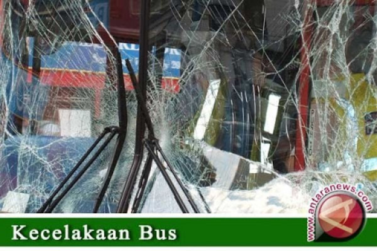 Bus Pariwisata Asal Batang Terperosok di Jurang Purbalingga