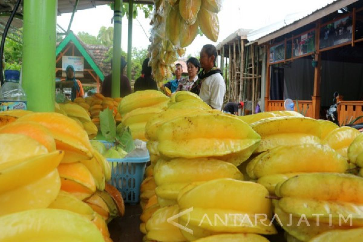  14.592 Wisatawan Domestik Kunjungi Wisata Kebun Belimbing Bojonegoro