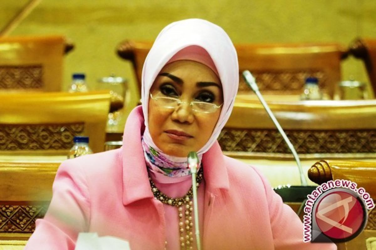 Caleg artis di masa tenang, hadiri sunatan dan peragaan busana