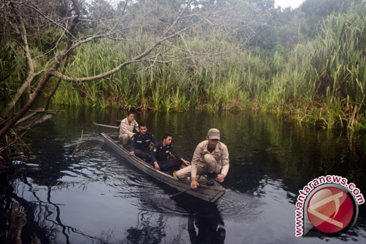 Langkah awal perjalanan panjang restorasi gambut Indonesia