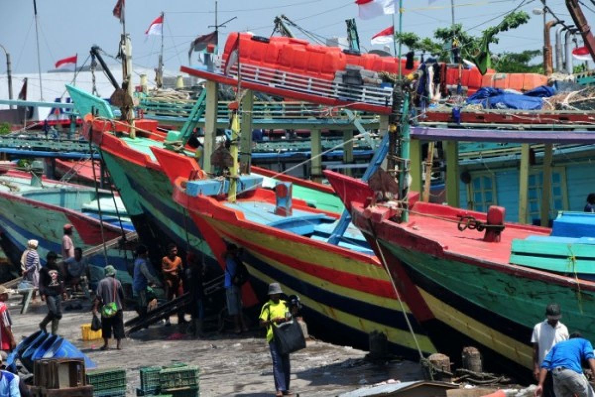 Nelayan Pekalongan Tak Terpengaruh Larangan Cantrang