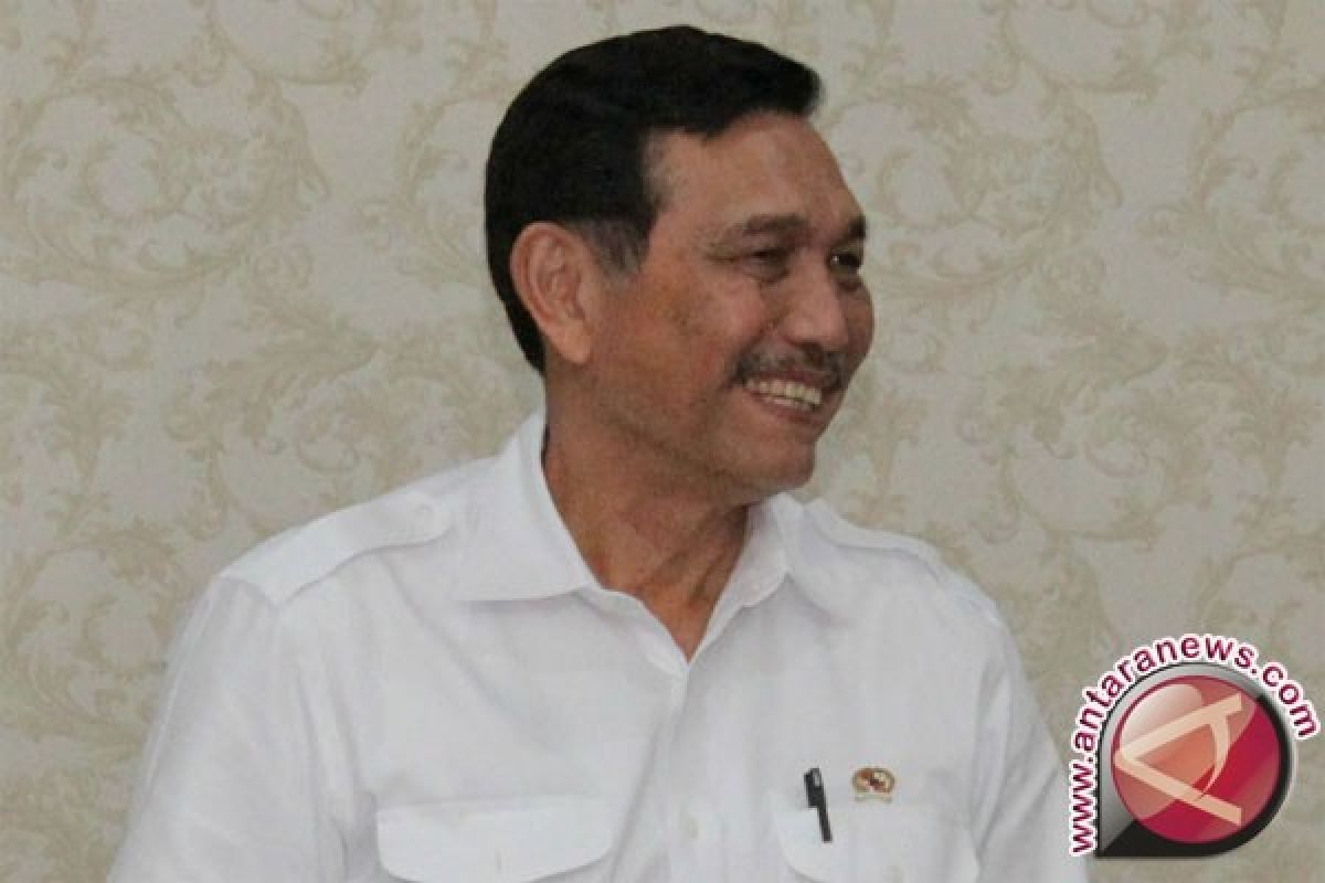 Luhut minta porsi penugasan PLN dikurangi