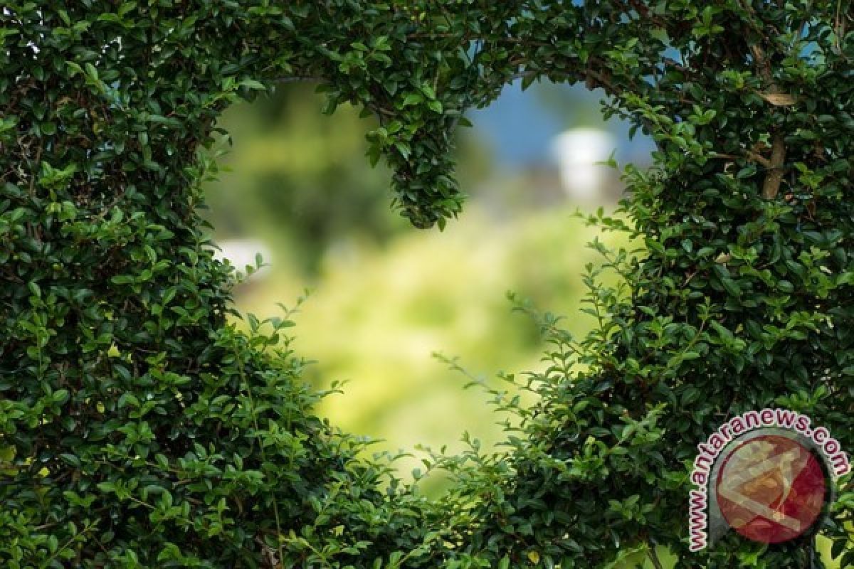 Masih Ingat Mantan Kekasih? Tahun Baru, Sudah Waktunya "Move On"