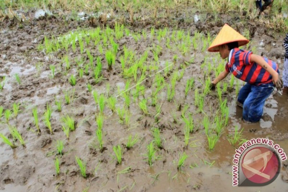 Pengamat : Pengembangan Desa Wisata Munculkan Kearifan Lokal