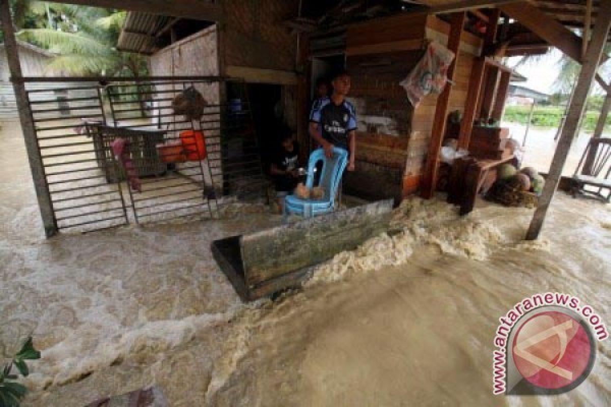 Puluhan rumah diterjang banjir di Pidie