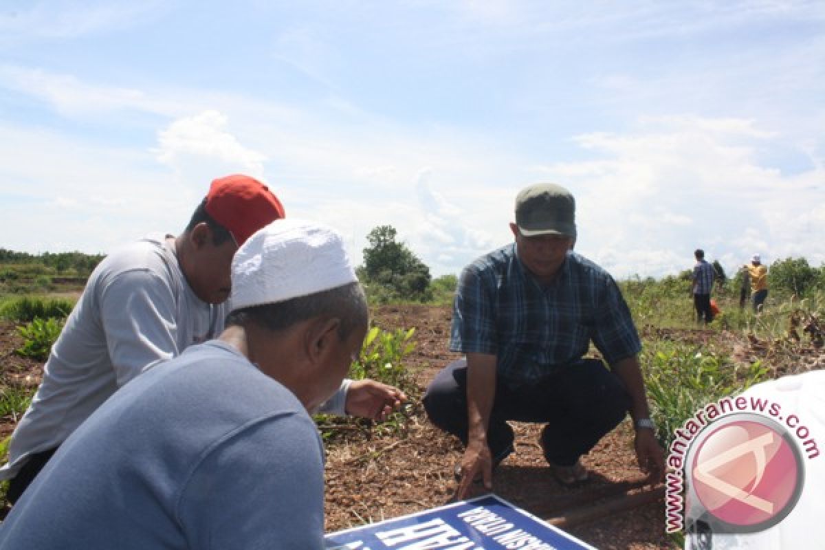 Kotabaru Kembangkan Taman Pemakaman Umum 