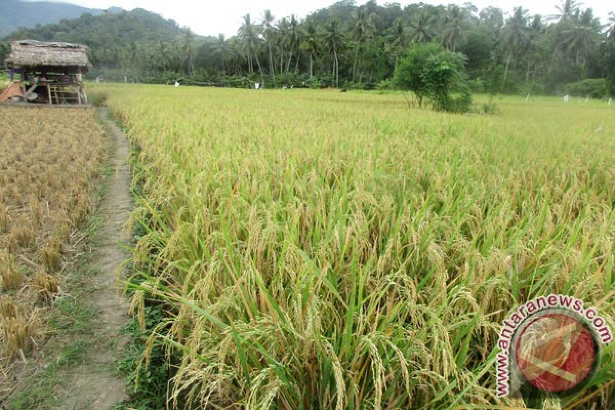 Pemkab Bekasi sinkronkan data lahan abadi