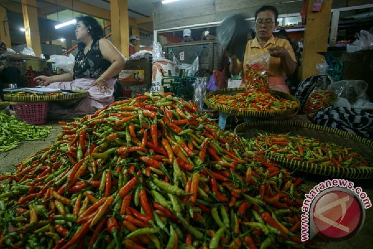 Harga cabai rawit di Raja Ampat tembus Rp200.000