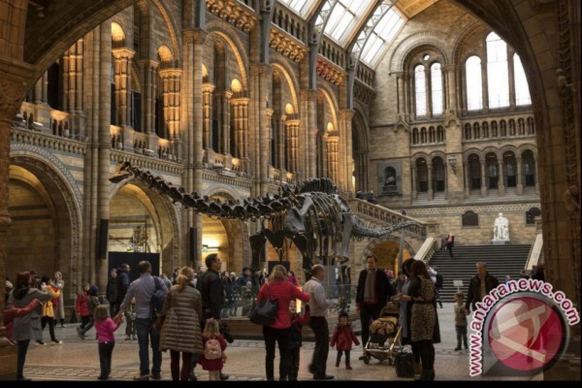 Museum London copot replika Dinosaurus Dippy setelah seabad 