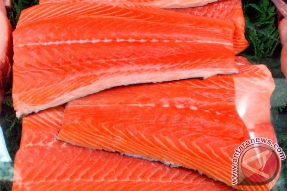 Norwegia cetak rekor penjualan salmon pada 2016