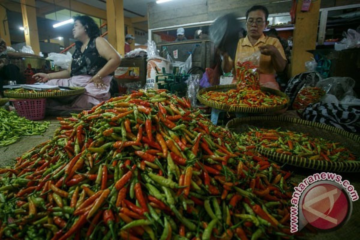 Harga Cabai Rawit di Raja Ampat Tembus Rp200.000/Kg