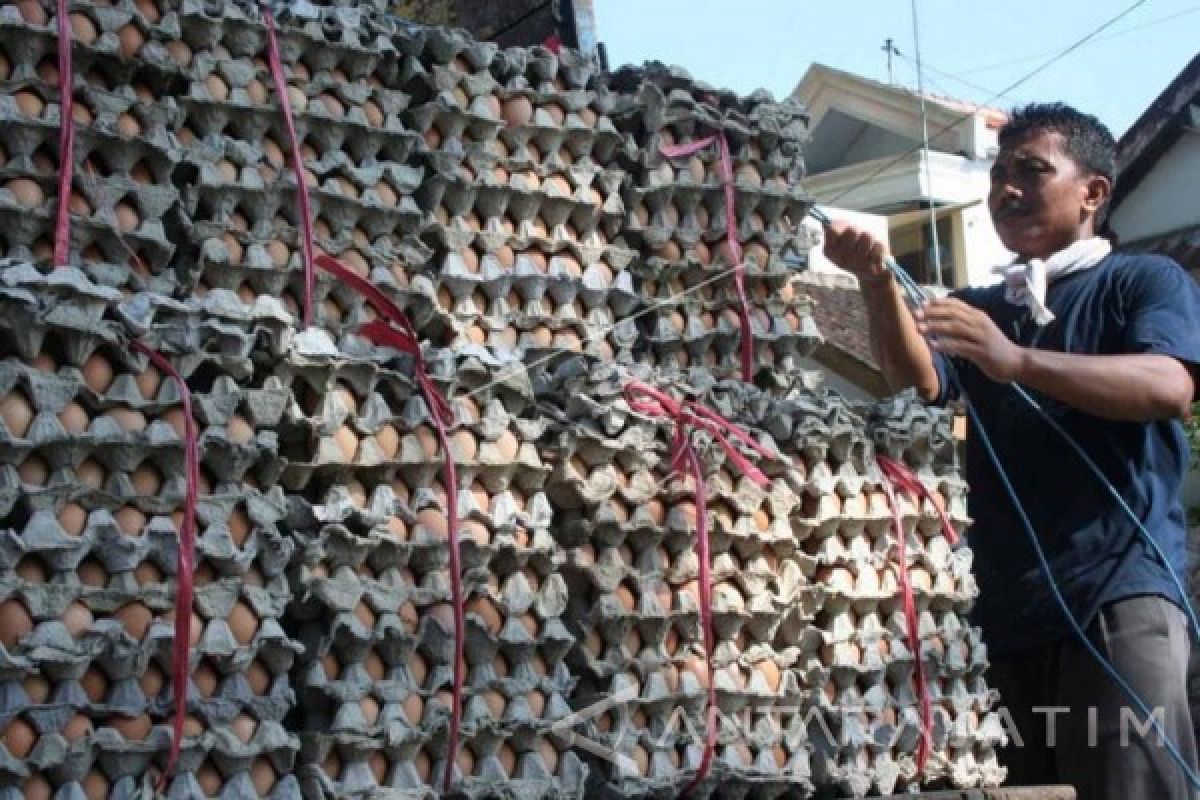 Harga Telur Ayam Ras di Madiun Turun