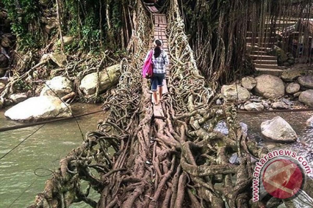 Jembatan Akar Segera Diperbaiki Pascabanjir