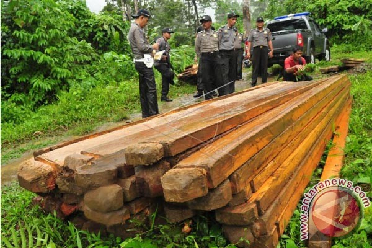 Dishut Sulbar Tekan Kasus Illegal Logging