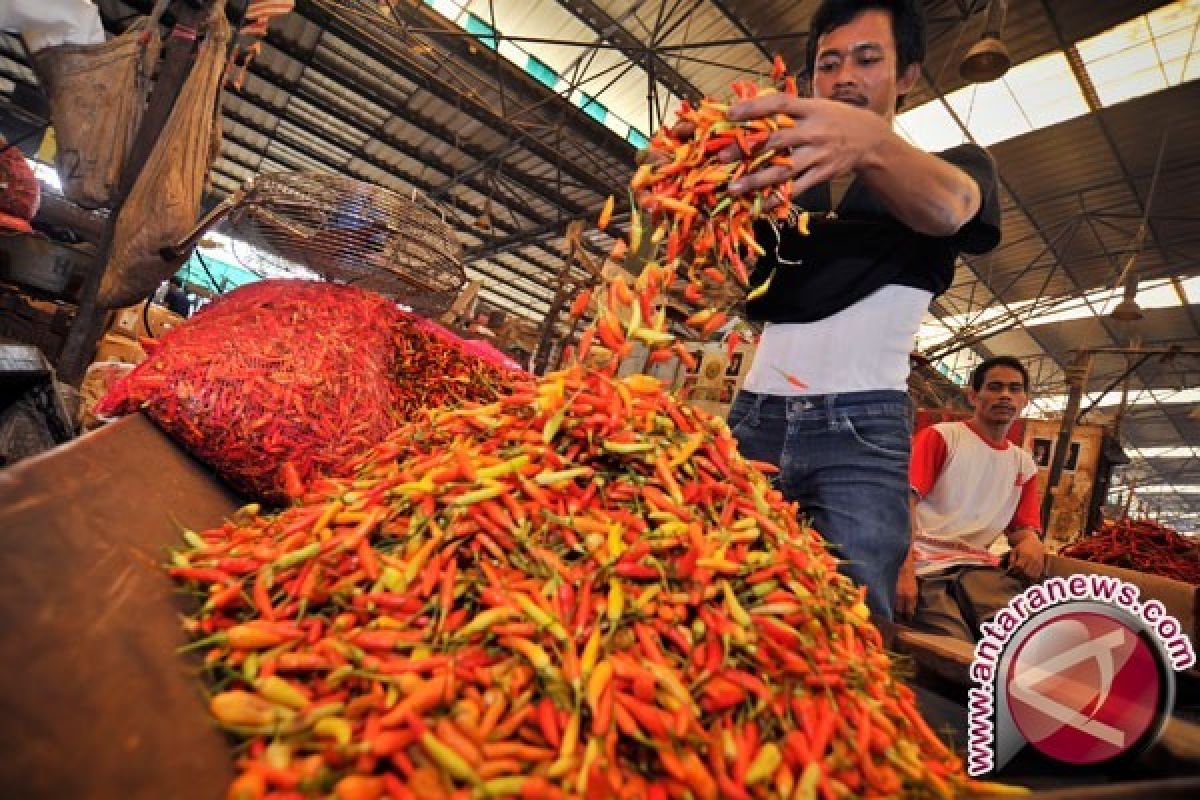 Mahalnya Harga Cabai Di Seruyan, Masih Dikeluhkan Para Pedagang