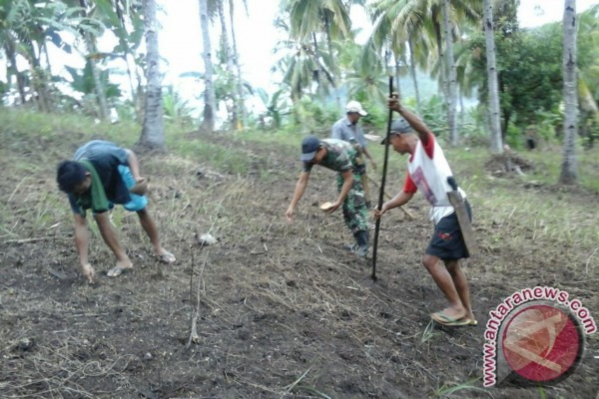 Babinsa bersama petani ingin wujudkan swasembada pangan 