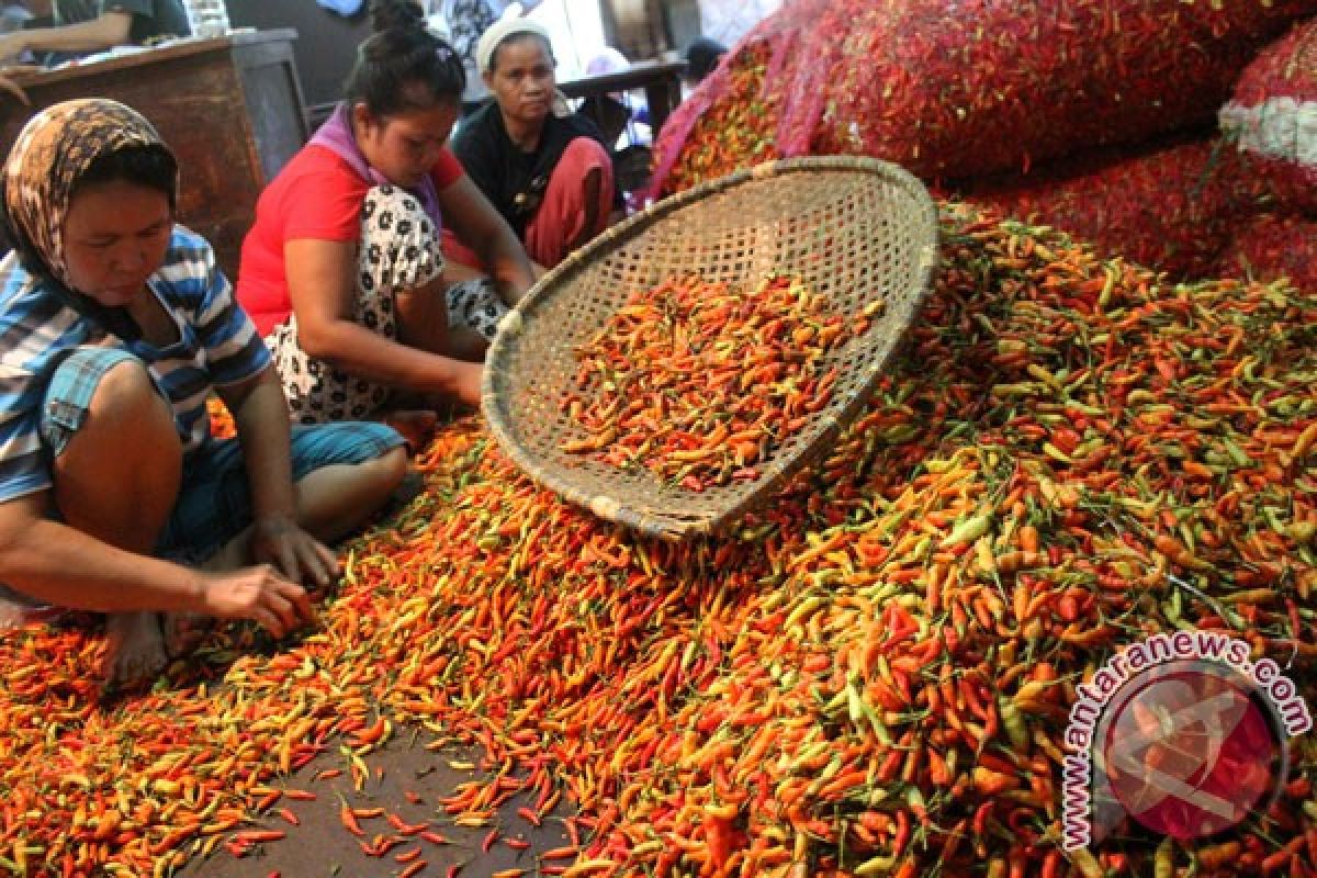 Harga cabai di sebagian Kalimantan Barat Rp150.000/kg