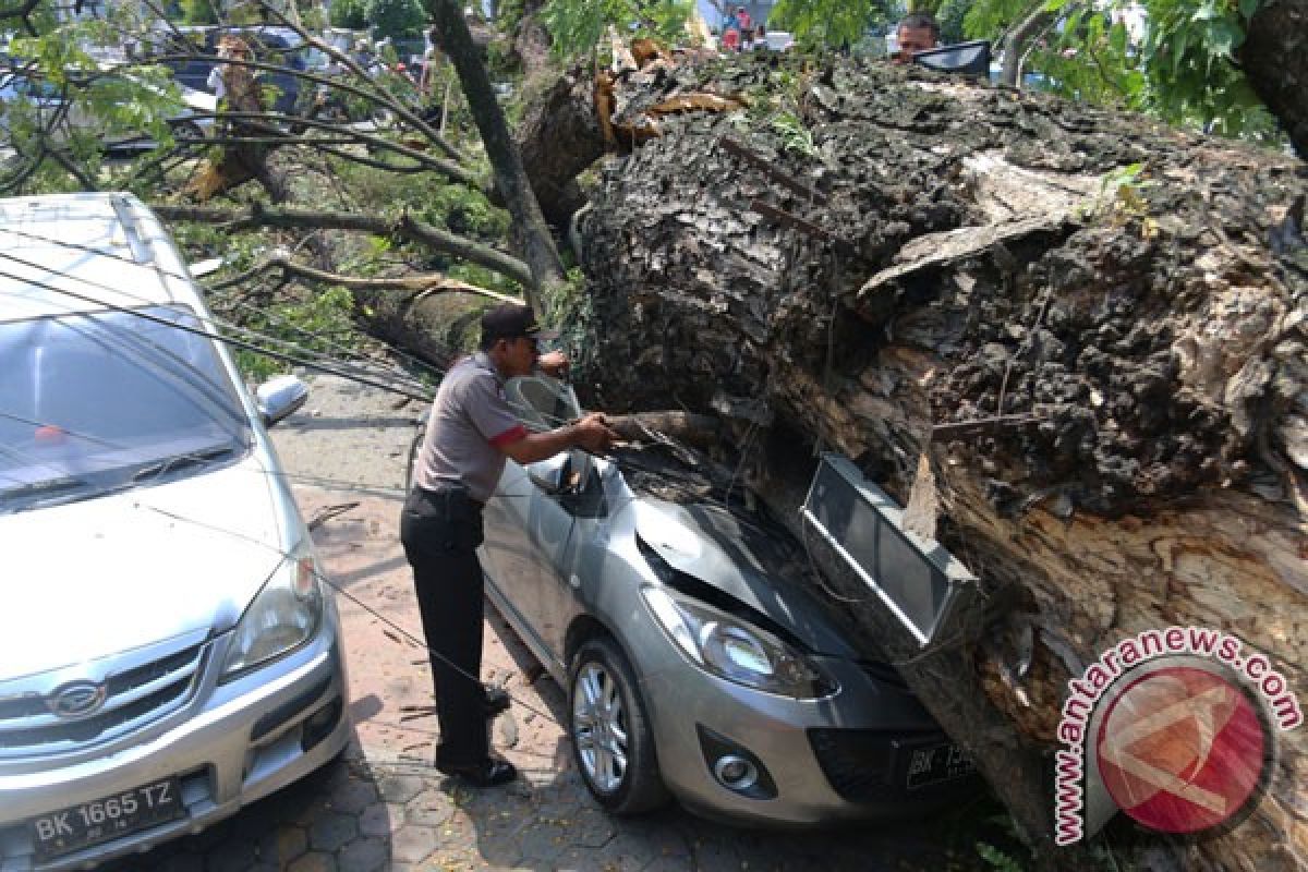 Dua pelajar meninggal tertimpa pohon tumbang