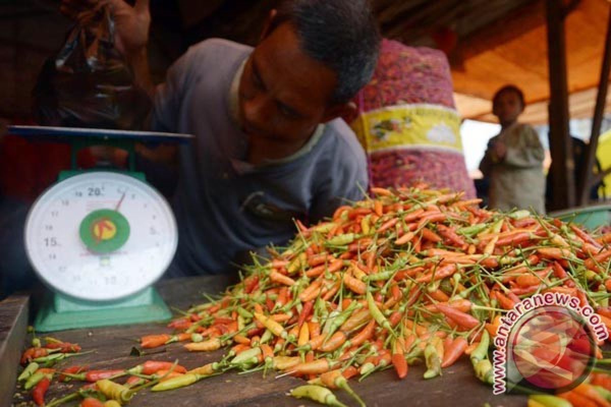 Harga Cabai Di Gorontalo Utara Rp110 Ribu/Kg