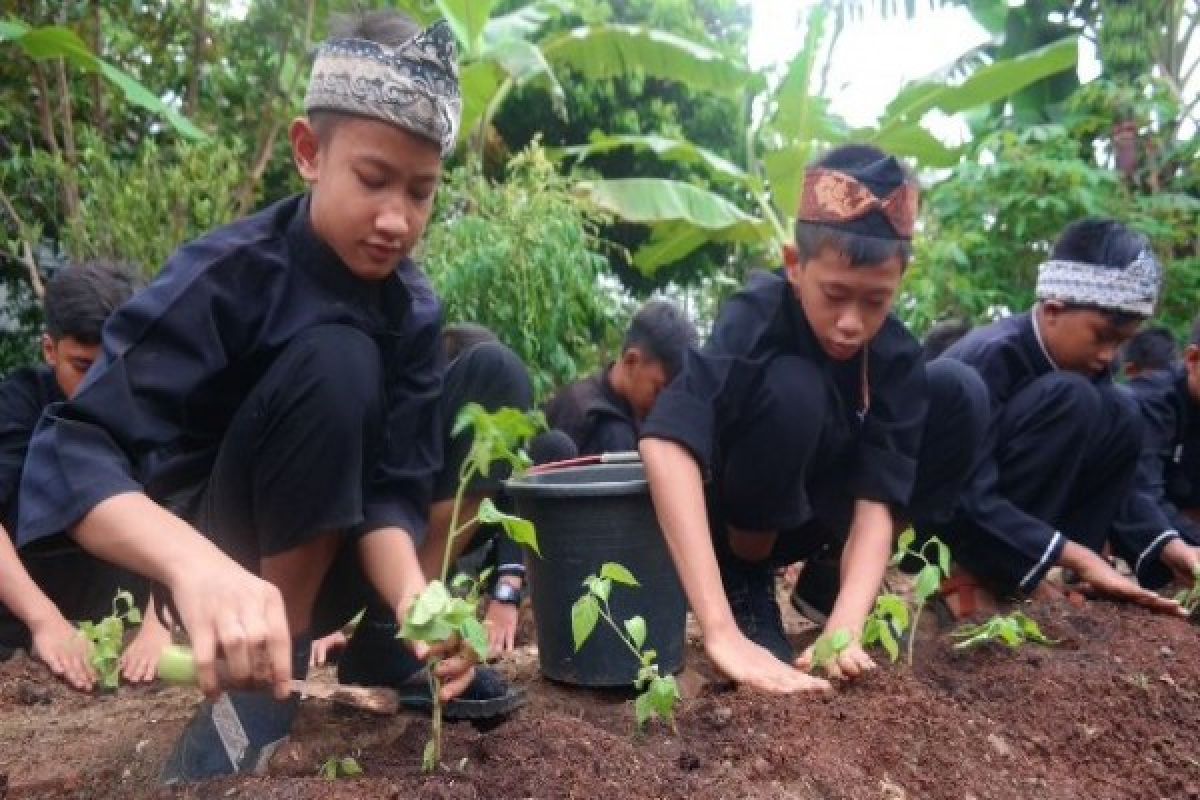 Pemkab Purwakarta Gulirkan Kegiatan Pelajar Menanam Cabai