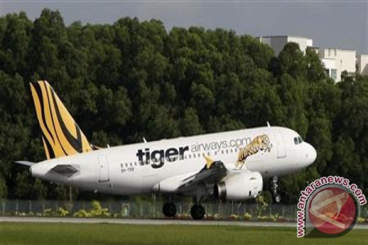Tak penuhi izin, Kemenhub hentikan penerbangan Tiger Air