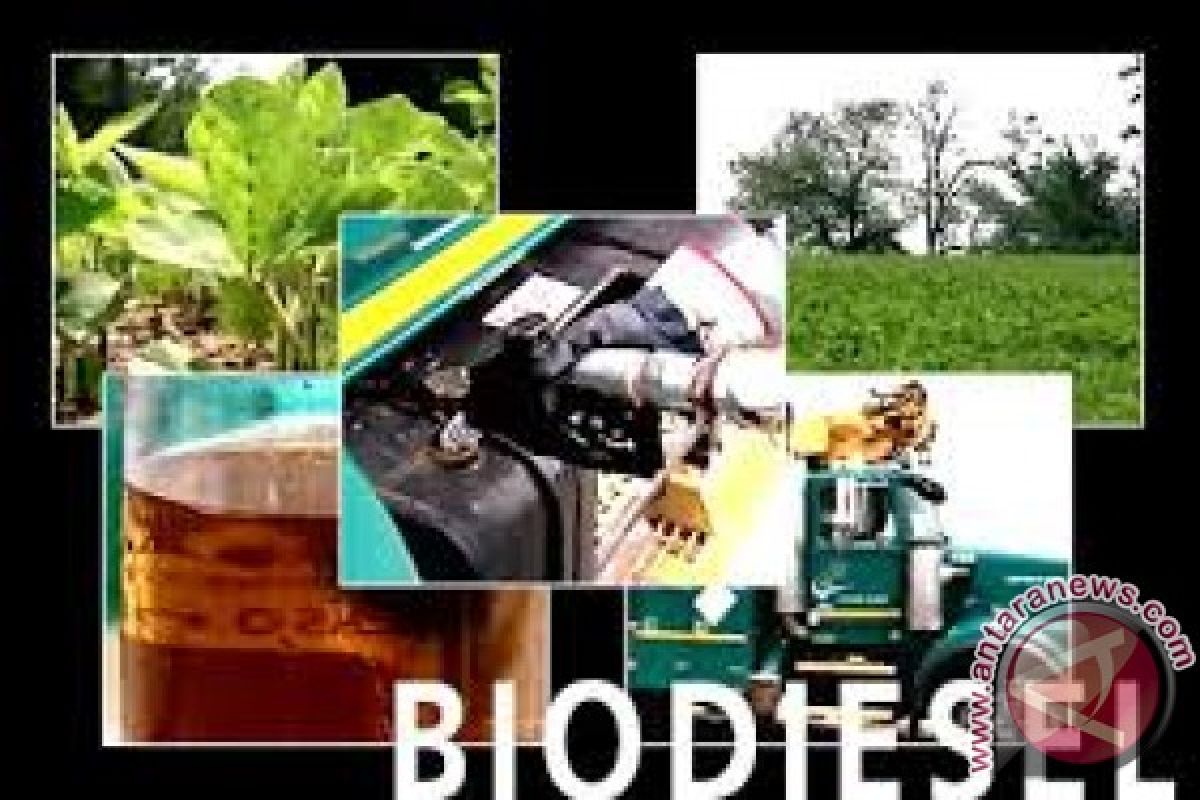 Permintaan pasar domestik meningkat, industri biodiesel bersiap tambah investasi