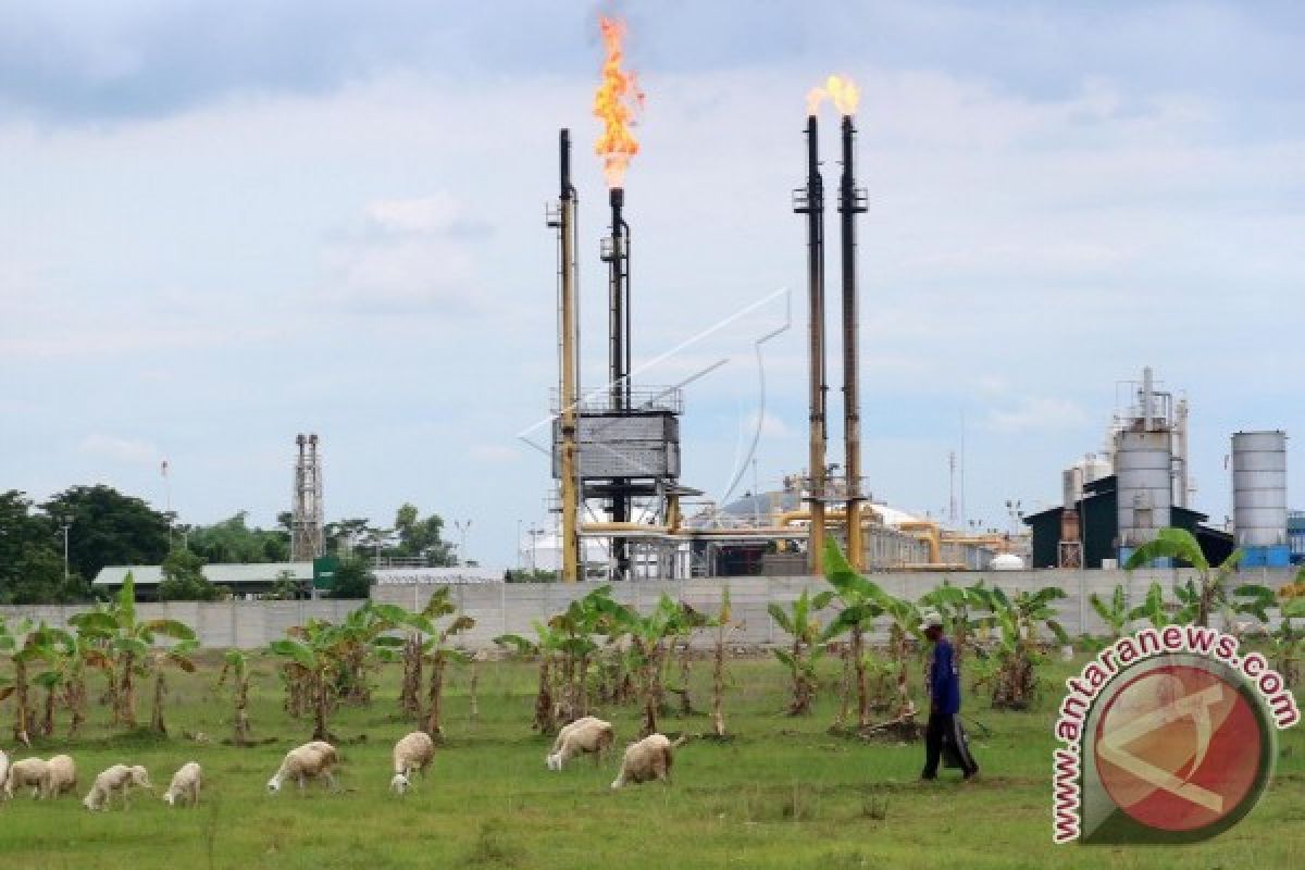 Harga Minyak Dunia Turun Akibat Persediaan AS Tinggi