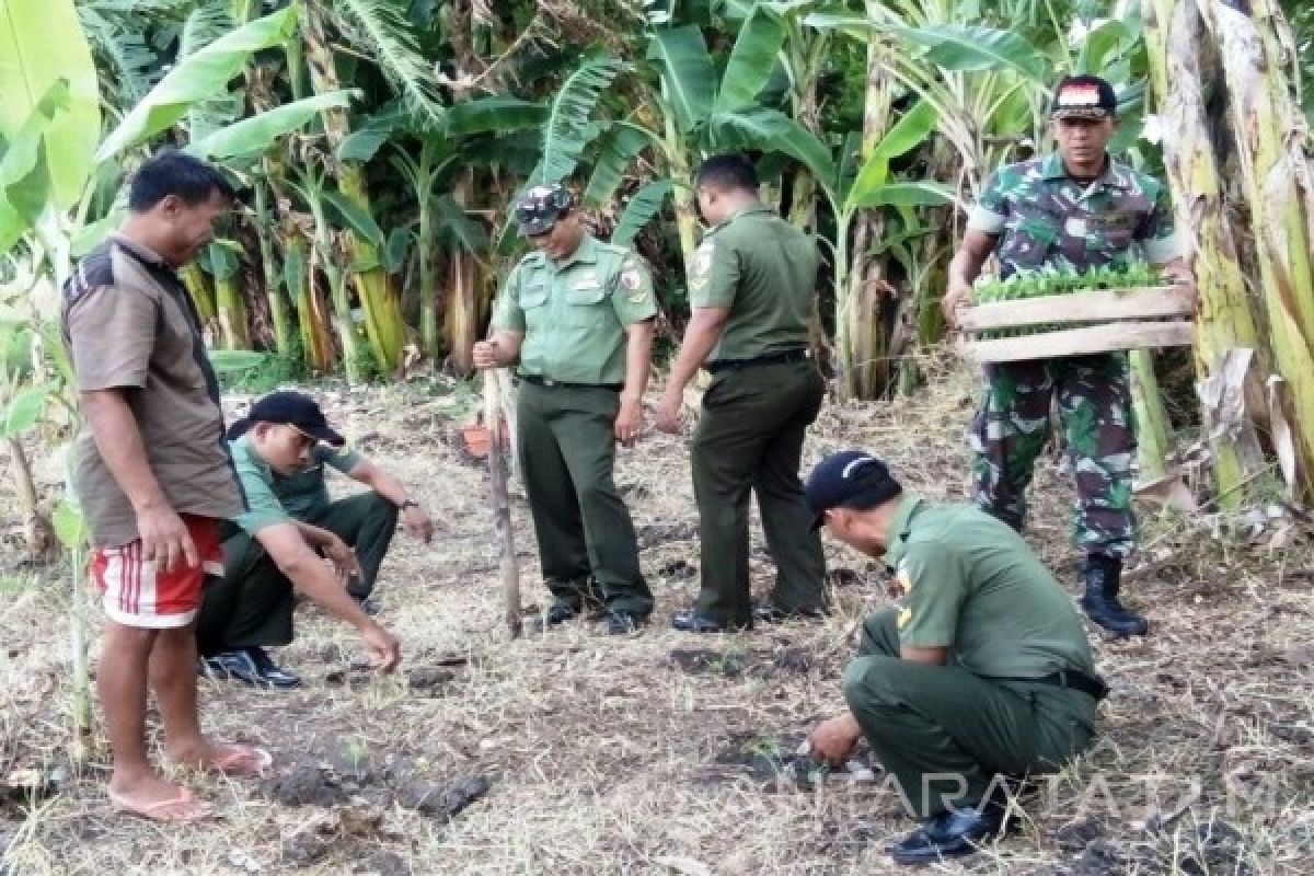 TNI AD Jatim Galakkan Gerakan Tanam Cabai