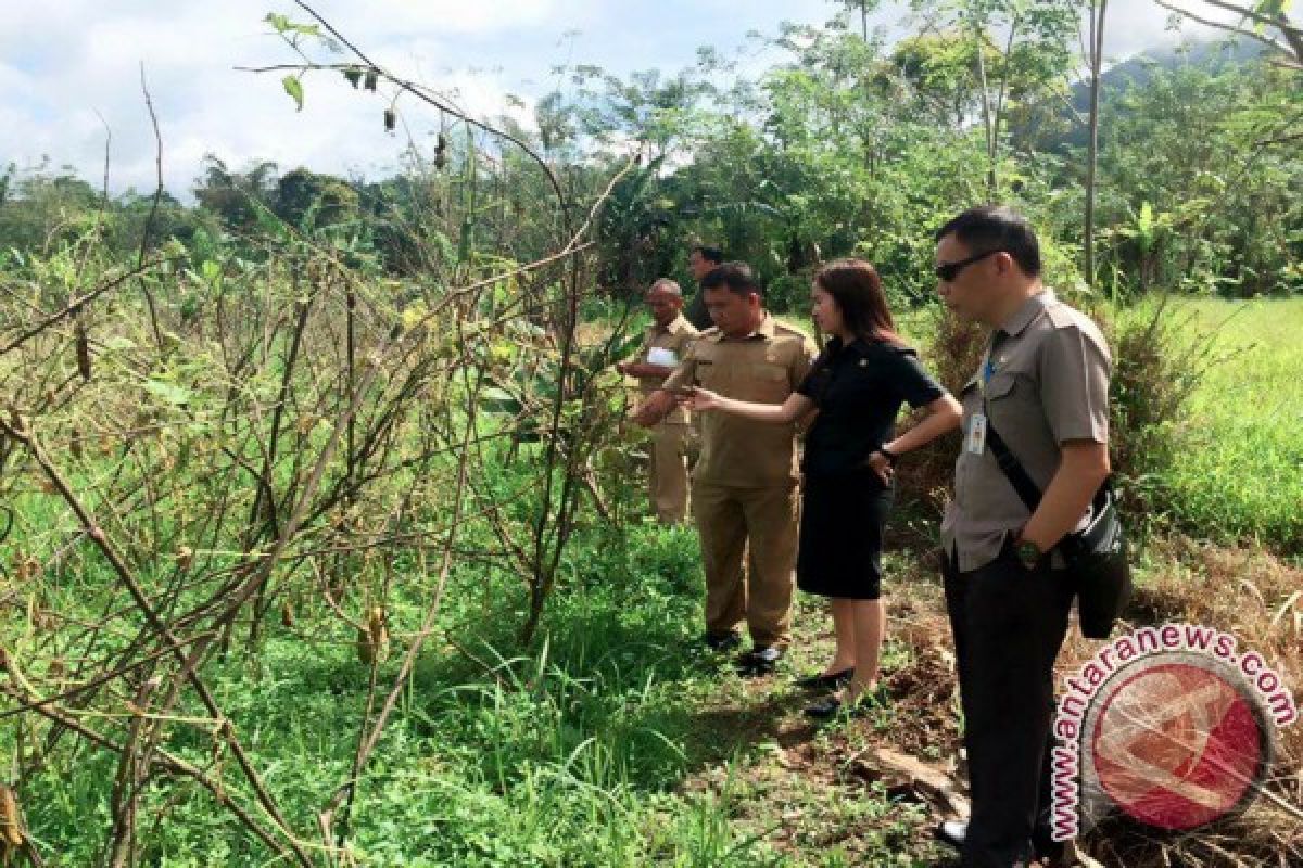 DLH Tomohon: Kerusakan Tanaman Petani Pangolombian Diteliti 